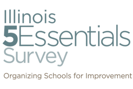 5 essential survey