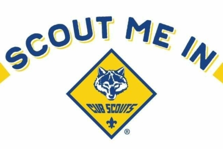 Cub scouts