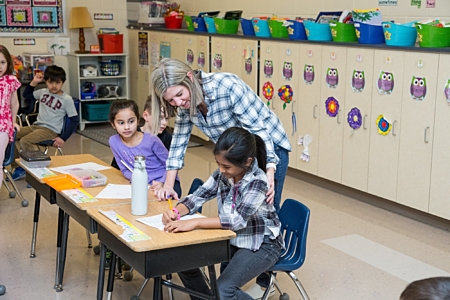 Grade School Teacher Help